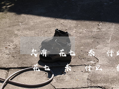 欠有錢花七萬未還什么時候會起訴-欠有錢花七萬未還什么時候會起訴對方