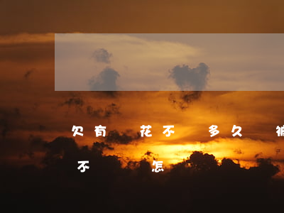 欠有錢花不還多久會被起訴(有錢花欠款1年不還會怎樣)