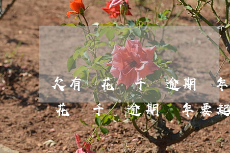 欠有錢花兩千塊逾期兩年要起訴我-欠有錢花兩千塊逾期兩年要起訴我怎么辦