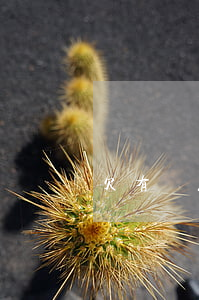 欠有錢花兩萬會坐牢嗎(欠有錢花兩萬會坐牢嗎)