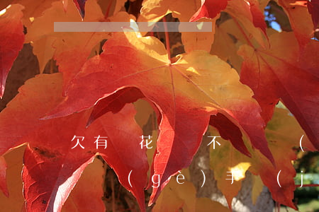 欠有錢花幾萬不還換號(hào)碼(有錢花換個(gè)手機(jī)號(hào)能繼續(xù)借款嗎)