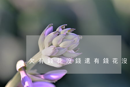 欠有錢花沒錢還(有錢花沒還款)