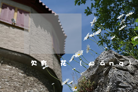 欠有錢花網(wǎng)貸6萬元會貼小紙條