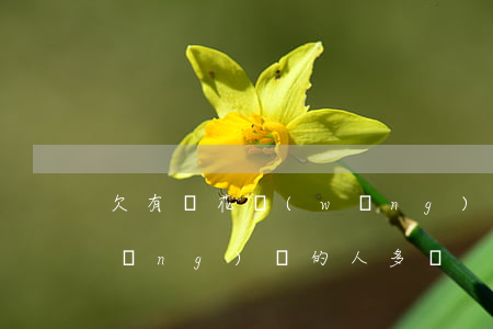 欠有錢花網(wǎng)貸(欠有錢花網(wǎng)貸的人多嗎)