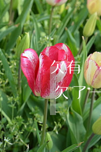 欠有錢花達(dá)到多少會被起訴(有錢花欠了一萬多會被起訴嗎)
