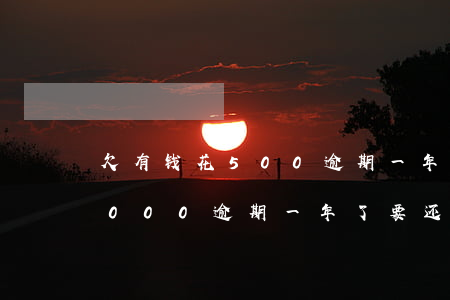 欠有钱花500逾期一年未还款(有钱花35000逾期一年了要还多少)