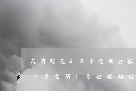 欠有钱花6万多逾期会被起诉吗(有钱花欠五千多逾期1年会被起诉吗)