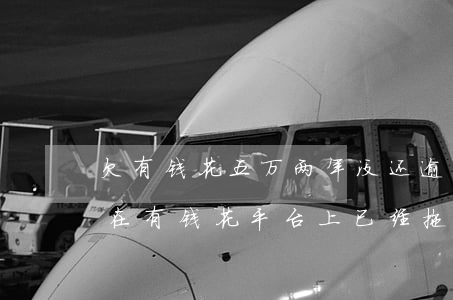 欠有钱花五万两年没还，逾期未还，欠款五万元在有钱花平台上已经拖欠两年