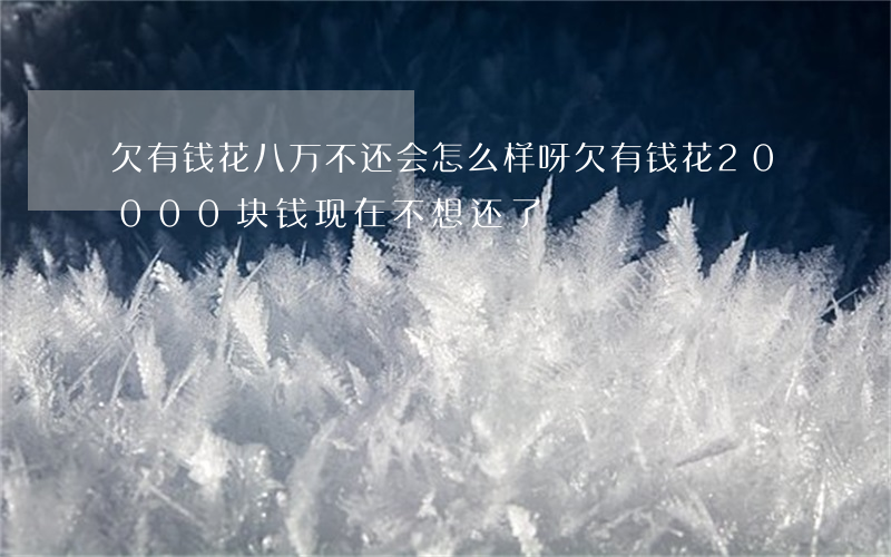 欠有钱花八万不还会怎么样呀(欠有钱花20000块钱现在不想还了)
