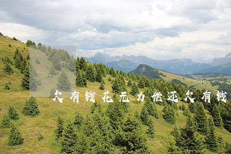 欠有钱花无力偿还(欠有钱花无力偿还怎么办)