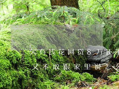 欠有钱花网贷8万还不上(网贷欠7万没钱还,又不敢跟家里说怎么办)