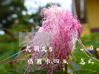 欠朋友5萬網(wǎng)貸信用卡6萬(欠信用卡四五萬怎么辦)