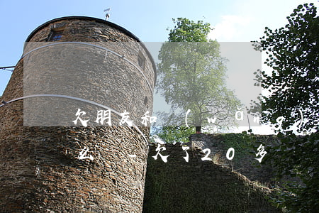 欠朋友和網(wǎng)貸20萬炸鍋了怎么辦-欠了20多萬網(wǎng)貸怎么和家人說