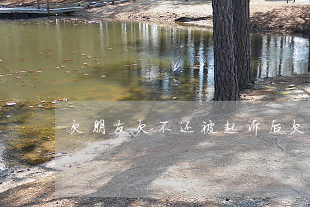 欠朋友欠不还被起诉后（欠钱没还被朋友起诉）