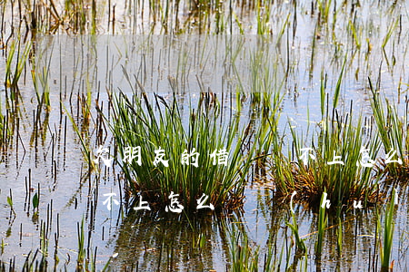 欠朋友的借唄還不上怎么辦(欠支付寶借唄還不上怎么辦會(huì)有哪些后果)