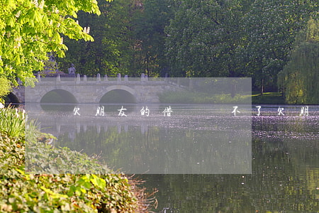 欠朋友的借唄還不了(欠朋友的借唄還不了)
