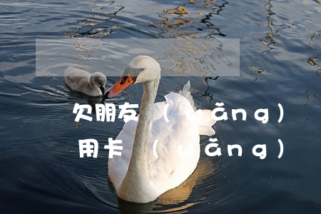 欠朋友網(wǎng)貸和信用卡先還(把信用卡,網(wǎng)貸借給朋友還不上)