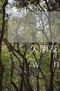 欠朋友網(wǎng)貸朋友去起訴(欠網(wǎng)貸會聯(lián)系我微信朋友嗎)