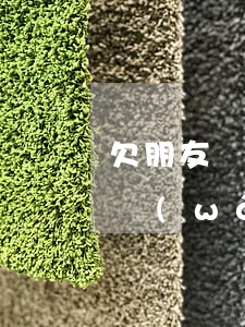 欠朋友網(wǎng)貸還不上怎么辦(欠了網(wǎng)貸還不上不知道怎么辦)