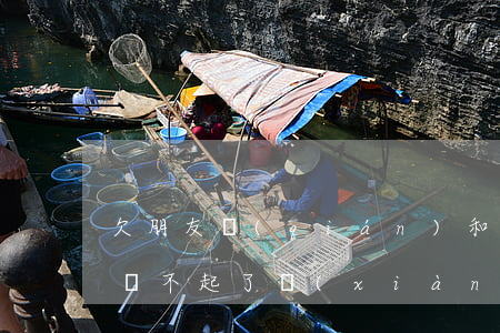 欠朋友錢(qián)和網(wǎng)貸還不起了(現(xiàn)在欠網(wǎng)貸的錢(qián)是不是不用還了)