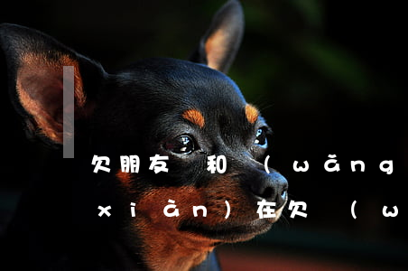 欠朋友錢和網(wǎng)貸還不起了(現(xiàn)在欠網(wǎng)貸的錢是不是不用還了)