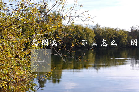 欠朋友錢還不上怎么辦(朋友欠錢不還咋辦)
