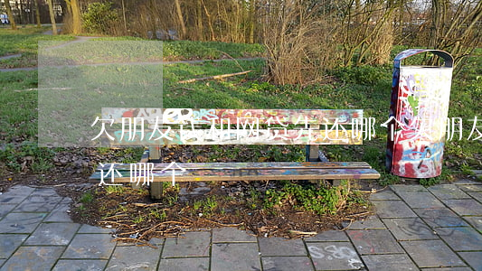 欠朋友钱和网贷先还哪个(欠朋友钱和网贷先还哪个)