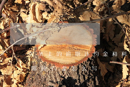 欠条上的逾期违约金和利息怎么算-欠条逾期违约金怎么写