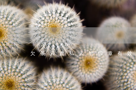 欠条只盖私人的印章有效吗