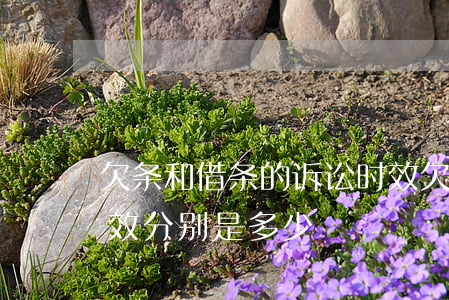 欠条和借条的诉讼时效(欠条和借条的诉讼时效分别是多少)