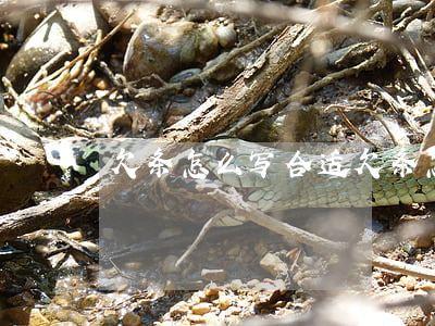 欠条怎么写合适(欠条怎么写才规范)