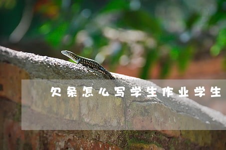 欠条怎么写学生作业(学生写欠条怎么写)