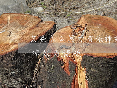欠条怎么写才有法律效力(欠条怎么写才有法律效力模板)
