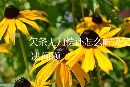 欠条无力偿还怎么解决 欠条无力偿还怎么解决问题