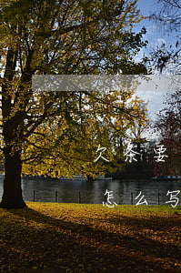 欠条要怎么写才是正确的(欠条正确的方法是怎么写的)