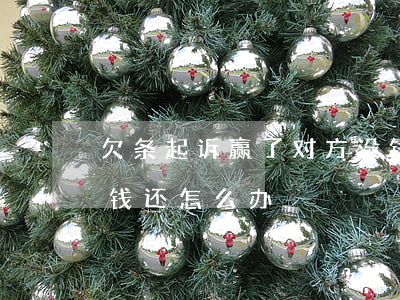 欠条起诉赢了对方没钱怎么办(有欠条对方没钱还怎么办)