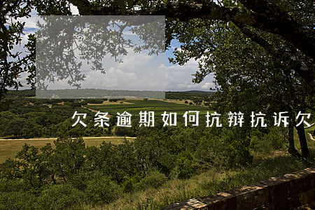欠条逾期如何抗辩抗诉(欠条逾期不还)