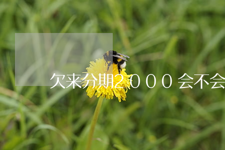 欠来分期2000会不会被起诉-