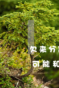 欠来分期8万还不起(欠来分期4万还不起了可能和他们沟通)