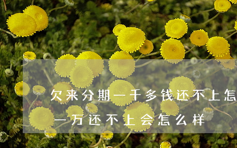 欠来分期一千多钱还不上怎么办(来分期借了一万还不上会怎么样)