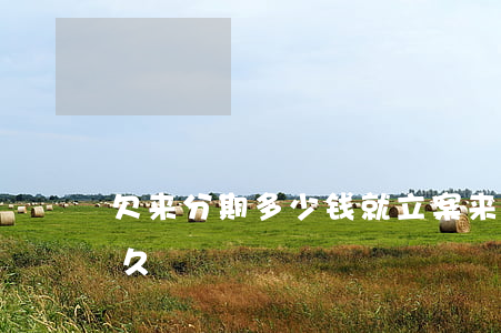 欠来分期多少钱就立案(来分期欠一万多判多久)
