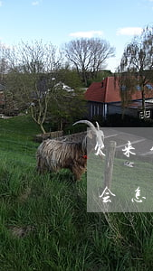 欠来分期的钱不还了可以吗(来分期欠钱不还会怎么样)