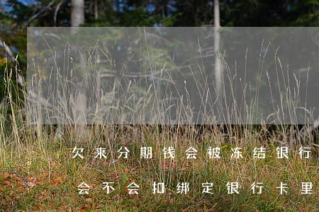 欠来分期钱会被冻结银行卡吗(来分期逾期了会不会扣绑定银行卡里钱)