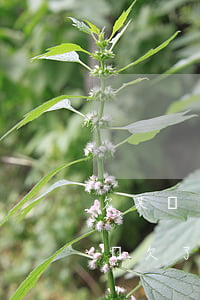 欠某個網(wǎng)貸七千塊錢不還會怎樣(欠了網(wǎng)貸7萬元,怎么辦)