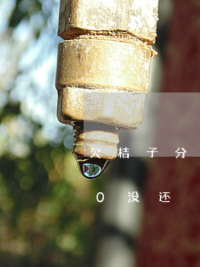 欠桔子分期几千块借款(桔子分期贷款8000没还)