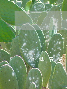 欠條不還利息只還本金