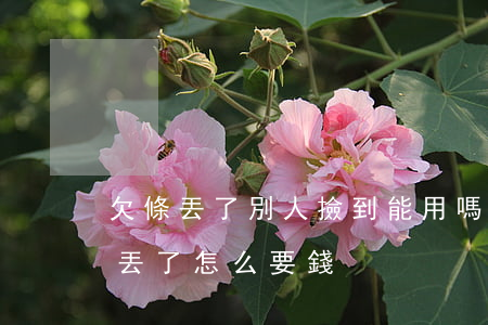 欠條丟了別人撿到能用嗎(別人給打的欠條弄丟了怎么要錢)