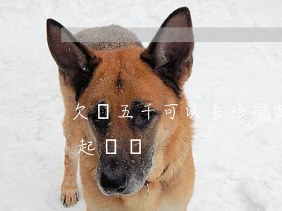 欠條五千可以去法院起訴嗎(五千元欠條可以起訴嗎)
