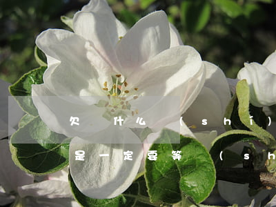 欠條什么時(shí)候可以起訴(欠條是不是一定要等時(shí)間到了才可以起訴)