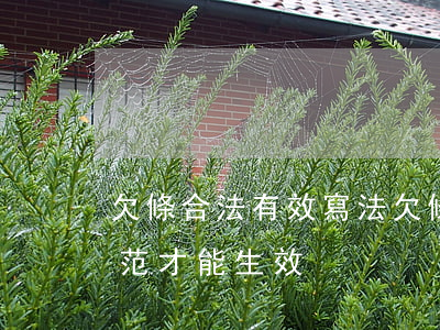 欠條合法有效寫法(欠條怎么寫規(guī)范才能生效?)